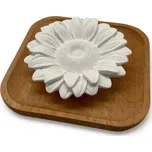 Innobiz Astelia pasivní difuzér bílý