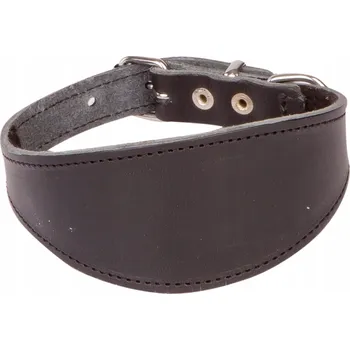 Obojek pro psa Kožený obojek pro psa Charta DINGO Classic XS - 28 cm černý