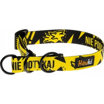 Obojek pro psa Bezpieczna obroża półzaciskowa dla psa Stop! - Hauki - velikost XL