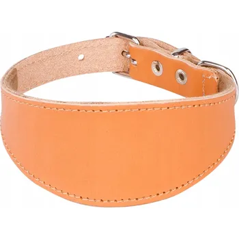 Obojek pro psa Kožený obojek pro psa Dingo vel. S/M
