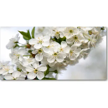 Obraz Ochranný panel Květy třešně 140x70 cm + LEPIDLO