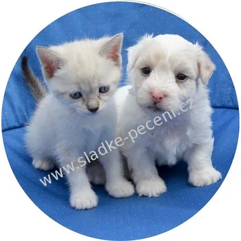 Jedlá dekorace na dort Obrázek Jedlý papír Kotě a štěně