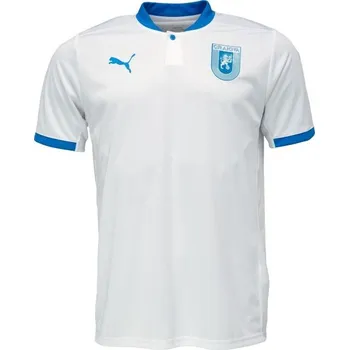 Pánské tričko Pánské fotbalové triko Puma TEAM FINAL JERSEY TEE S Bílá, Modrá