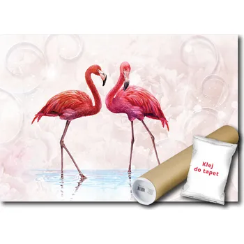 Fototapeta FOTOTAPETA PLAMEŇÁK PTÁK 15B F3XL 416x254 F10199