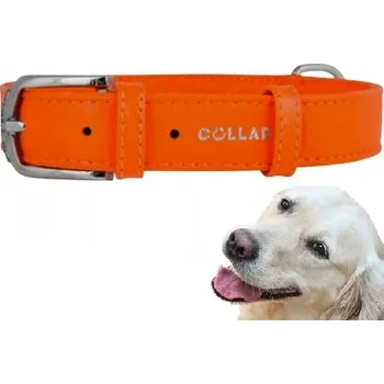 Obojek pro psa Kožený obojek pro psa klasický Collar vel. XS