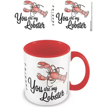 EPEE merch Hrnek Přátelé You are my lobster keramický a karneval 315 ml