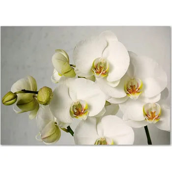 Obraz Skleněný panel 70 x 100 x 4 mm tvrzené sklo broušené bílý