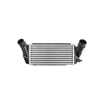 Chladič motoru Chladič vzduchu FORD Tourneo Connect | 1.0 Ecoboost | 999ccm | Benzín | 74kW | M1GA |2013 a výše| SRL | 5901532731279