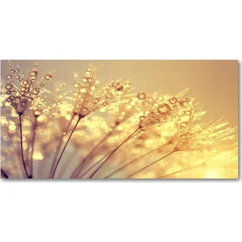 Obraz Kuchyňský panel Semena pampelišky 140x70 cm + LEPIDLO