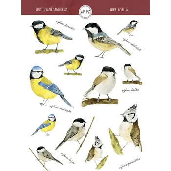 Samolepící dekorace ePipí Arch samolepek Sýkorky A6 6 samolepek