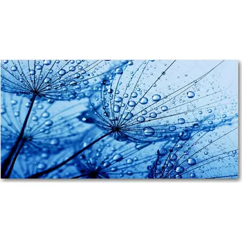 Obraz Kuchyňský panel Pampelišková semínka 100x50 cm + LEPIDLO