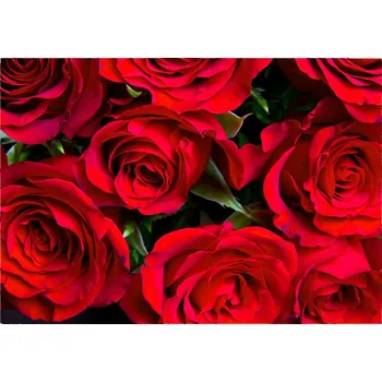 Obraz Skleněný panel 70 x 100 x 4 mm tvrzené sklo broušené červený