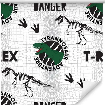 Fototapeta Tapeta pro kluka DINOSAURUS Stopy Komiks Dekorace
