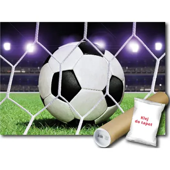 Fototapeta Vliesová fototapeta 208x146 Míč 3D v brance + lepidlo