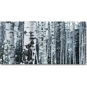 Obraz Kuchyňský panel Břízy 140x70 cm + LEPIDLO