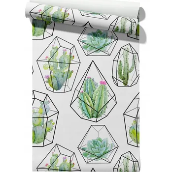 Tapeta Vliesová tapeta barevné kaktusy, role tapety 50 cm x 6,1 m