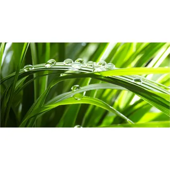 Obraz Kuchyňský panel Kapky na trávě 140x70 cm + LEPIDLO