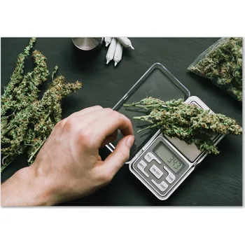 Obraz Skleněný panel 70 x 100 x 4 mm tvrzené sklo broušené zelené