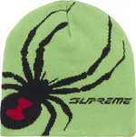 Supreme Spyder Beanie Green Velikost: ONE SIZE