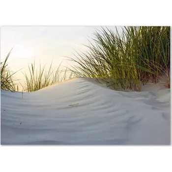 Obraz Skleněný panel 70 x 100 x 4 mm z tvrzené sklo, broušený, v odstínech hnědé a béžové