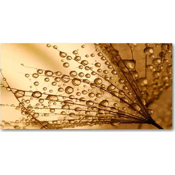 Obraz Kuchyňský panel Pampelišková semínka 100x50 cm + LEPIDLO