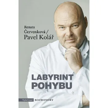 Labyrint pohybu - Pavel Kolář, Renata Svobodová
