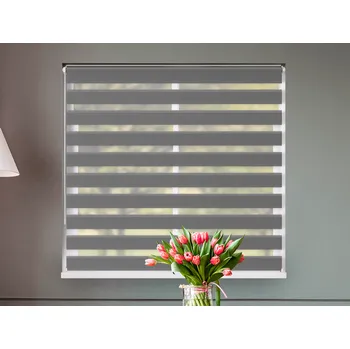 Roleta FEXI Zatemňovací Roleta Den a noc, Origin tmavě stříbrná, C 014 v POLO kazetě, 150x30 cm