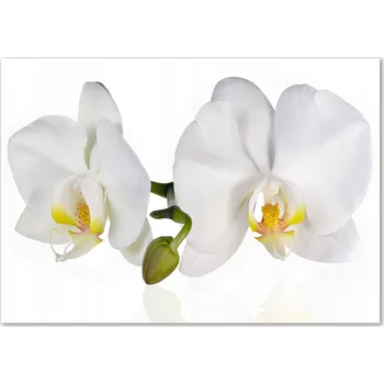 Obraz Skleněný panel 70 x 100 x 4 mm tvrzené sklo broušené bílý