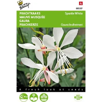 Semeno Semena - Gaura Lindheimeri ´SPARKLE WHITE´