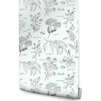 Fototapeta Tapeta bylinky koření motýli nápisy do kuchyně