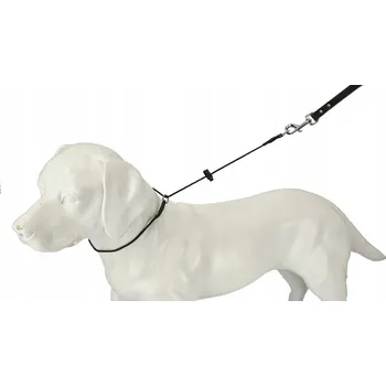 Obojek pro psa Materiálový obojek pro psa Dingo Gear vel. L