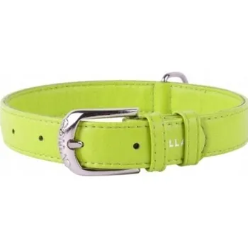 Obojek pro psa Kožený obojek pro psa WAUDOG COLLAR vel. M