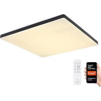 Globo 48025BSH - LED Stmívatelné stropní svítidlo LED/24W/230V Wi-Fi Tuya + DO