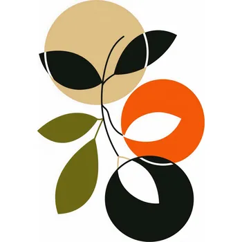 Plakát Plakát Organický pokoj bez rámu 61 x 91,5 cm