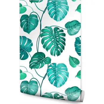 Fototapeta Tapeta Listy Monstera Příroda /283061678