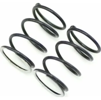 RC náhradní díl Serpent Spring Fr/Rr Silver 811GT 34.5lbs (2) SER600601 - expresní doprava