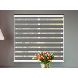 FEXI Zatemňovací Roleta Den a noc, Origin tmavě stříbrná, C 014 v MAXI kazetě, 150x30 cm