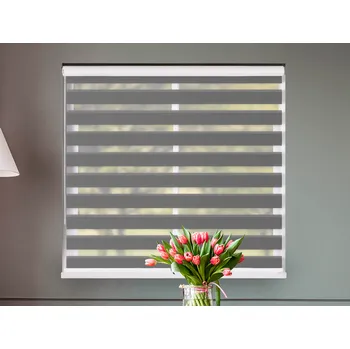 Roleta FEXI Zatemňovací Roleta Den a noc, Origin tmavě stříbrná, C 014 v MAXI kazetě, 150x30 cm