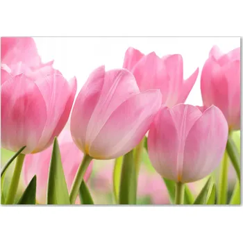 Obraz Skleněný panel 70 x 100 x 4 mm tvrzené sklo broušené růžový