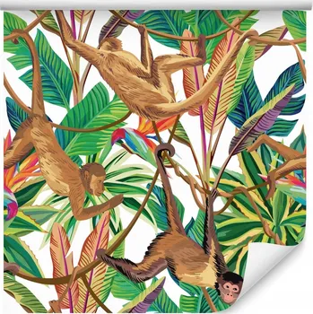 Fototapeta Dekorativní tapeta opice barevné TROPICKÉ LISTY