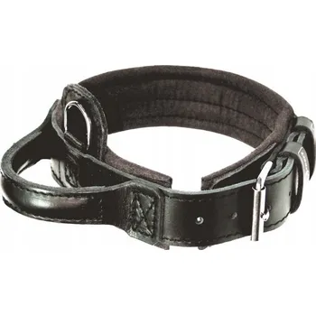 Obojek pro psa Kožený obojek pro psa Dingo Gear vel. L