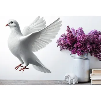 Samolepící dekorace Bílá holubice samolepka na zeď arch 45 x 45 cm