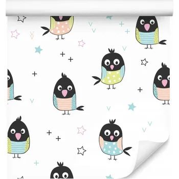 Fototapeta Tapeta do dětského pokoje BAREVNÍ Ptáčci Hvězdičky