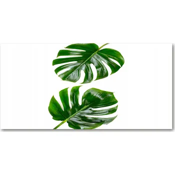 Obraz Kuchyňský panel Tropické listy 120x60 cm + LEPIDLO
