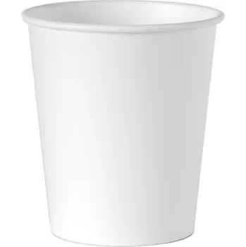 Jednorázové nádobí Papírové kelímky 250 ml 100 ks