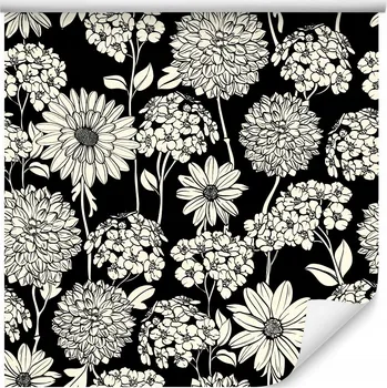 Fototapeta Tapeta do obýváku LUČNÍ KVĚTY Černobílé Rostliny