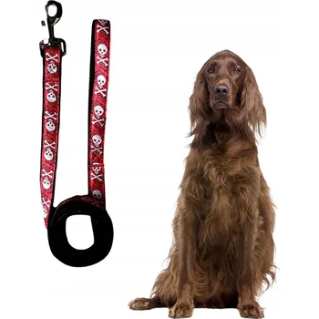 Vodítko pro psa Tradiční Vodítko Petinio , materiál 140 m