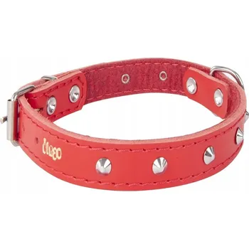 Obojek pro psa Kožený obojek pro psa Dingo vel. XS