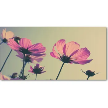 Obraz Panel do kuchyně Růžové květy 140x70 cm + LEPIDLO