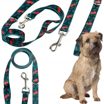 Vodítko pro psa VODÍTKO PRO PSA PEVNÉ TRÉNINKOVÉ POPRUHY KVĚTY PAVÍHO PEŘÍ PLANET 2,4M 25MM